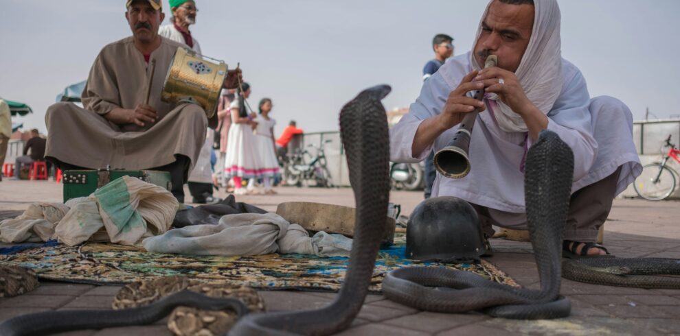 raul-cacho-oses-Y0I5DEbx8ck-unsplash